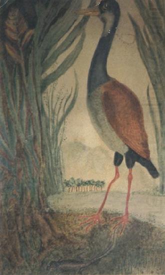 Henri Rousseau Wader china oil painting image